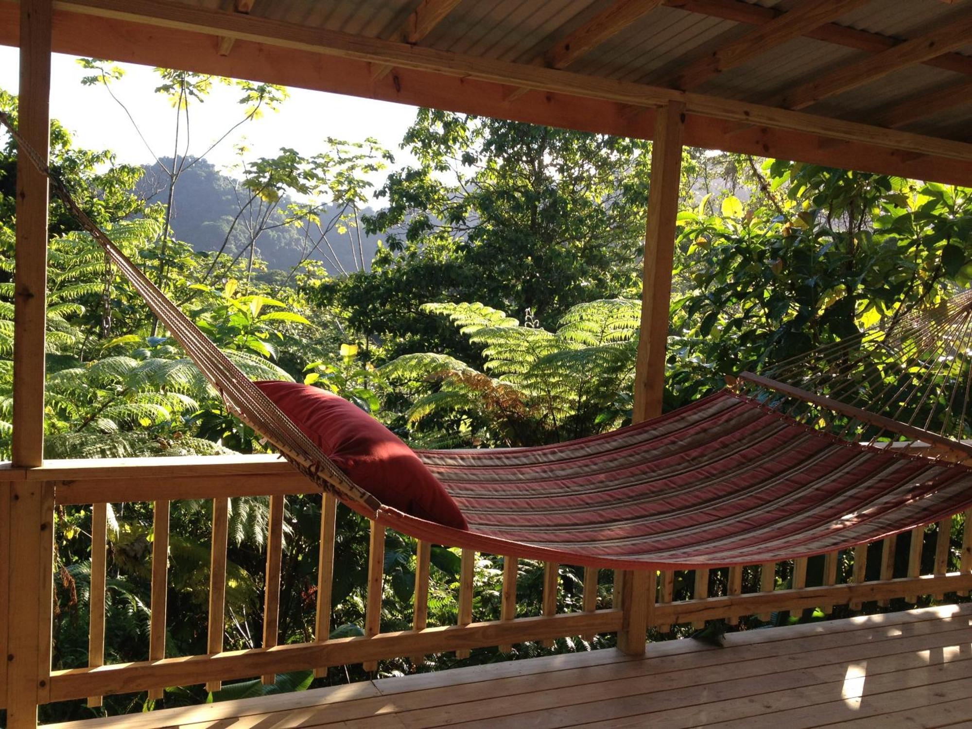 Roots Jungle Retreat Villa Marigot Exterior photo