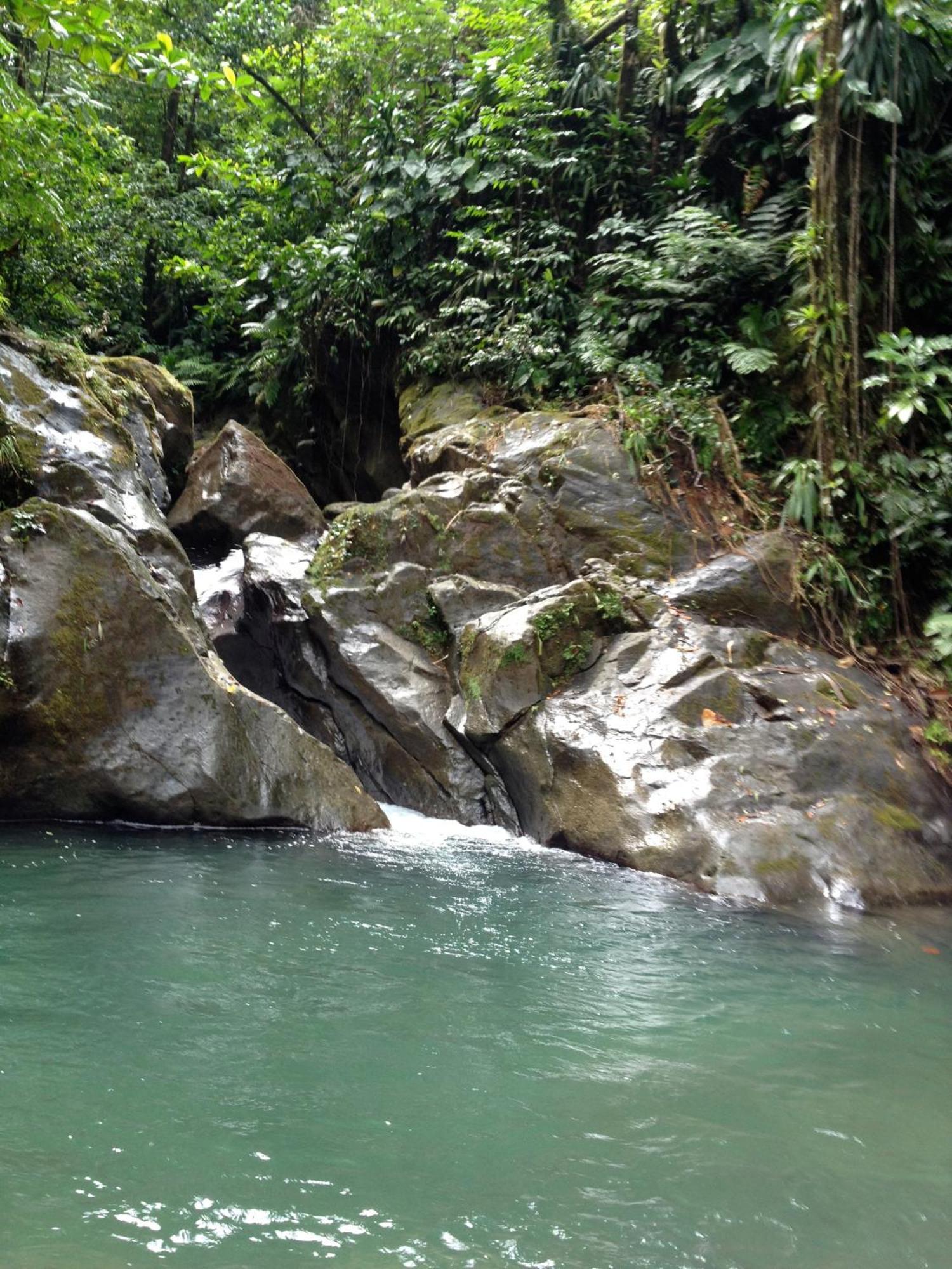 Roots Jungle Retreat Villa Marigot Exterior photo