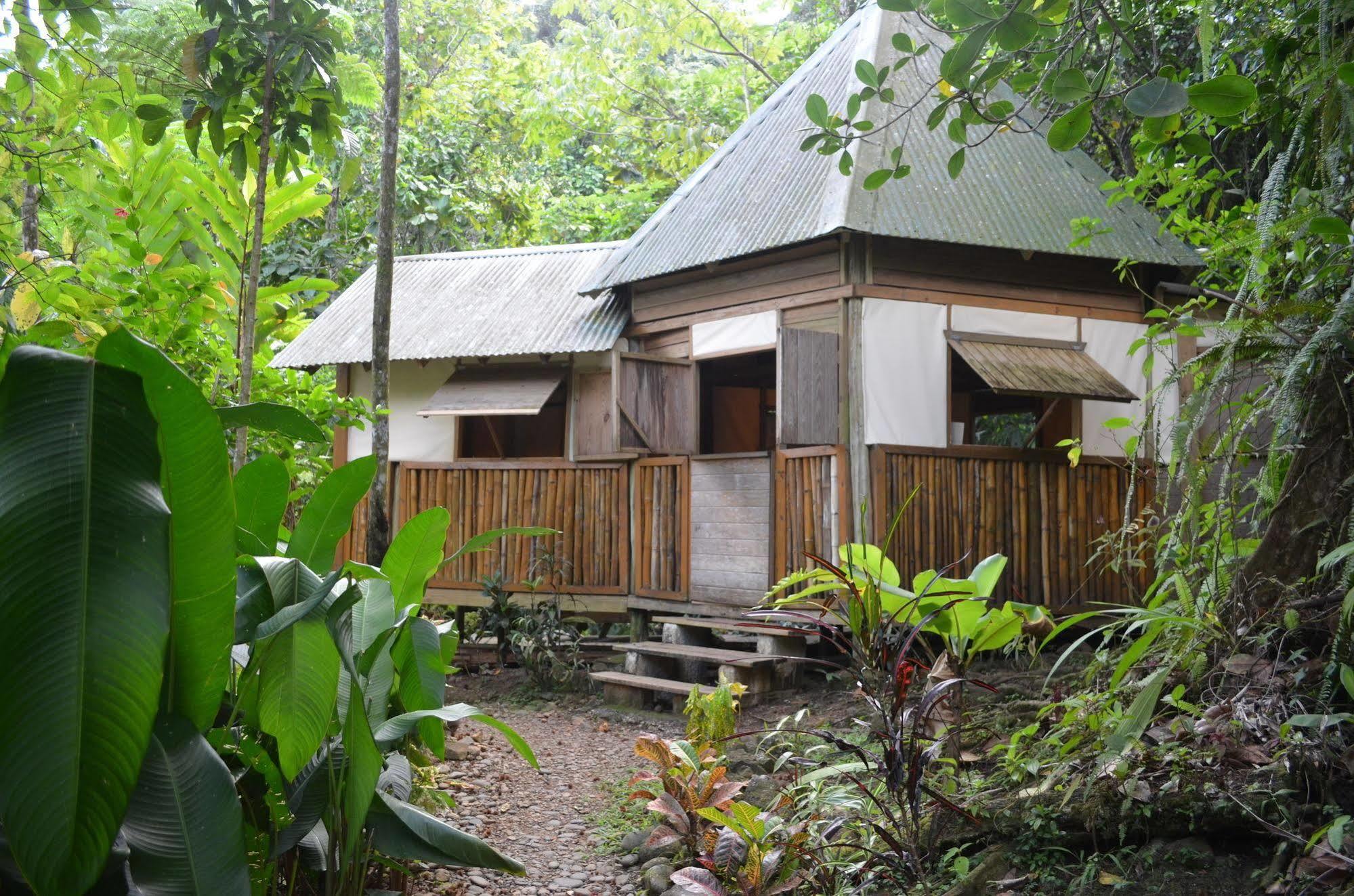 Roots Jungle Retreat Villa Marigot Exterior photo